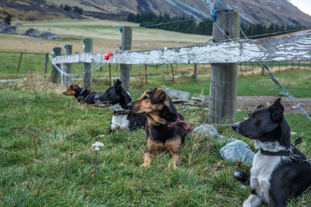 Industries extension